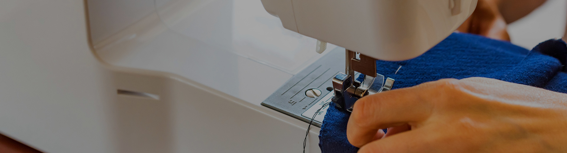 Trưng bày sản phẩm